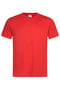 Scarlet Red Adult Cotton T-Shirt