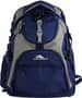 High Sierra Access 17 inch Computer Backpack