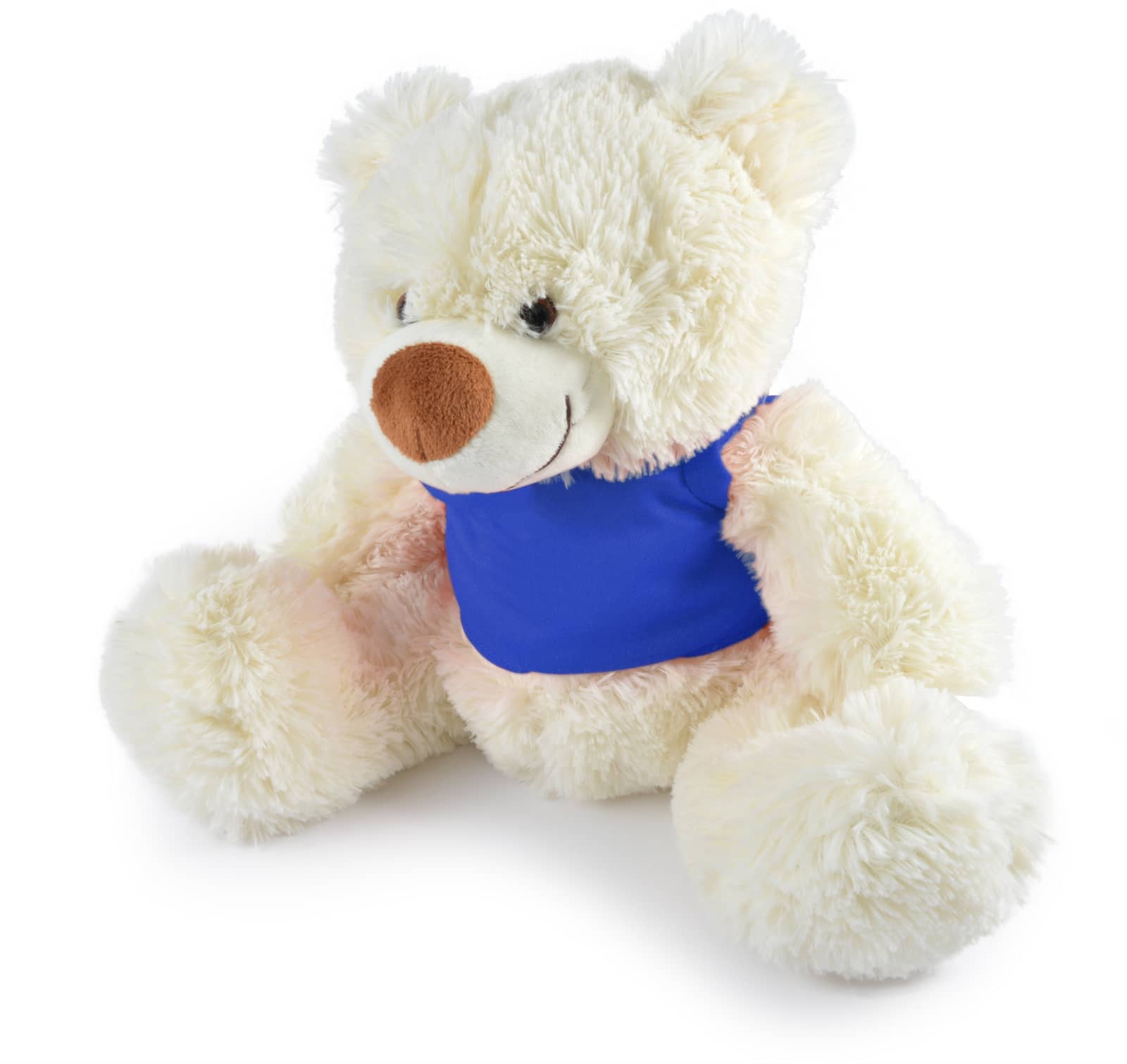 Blue Coconut Plush Teddy Bear