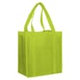 Custom Printed Non-Woven Shopping Bag