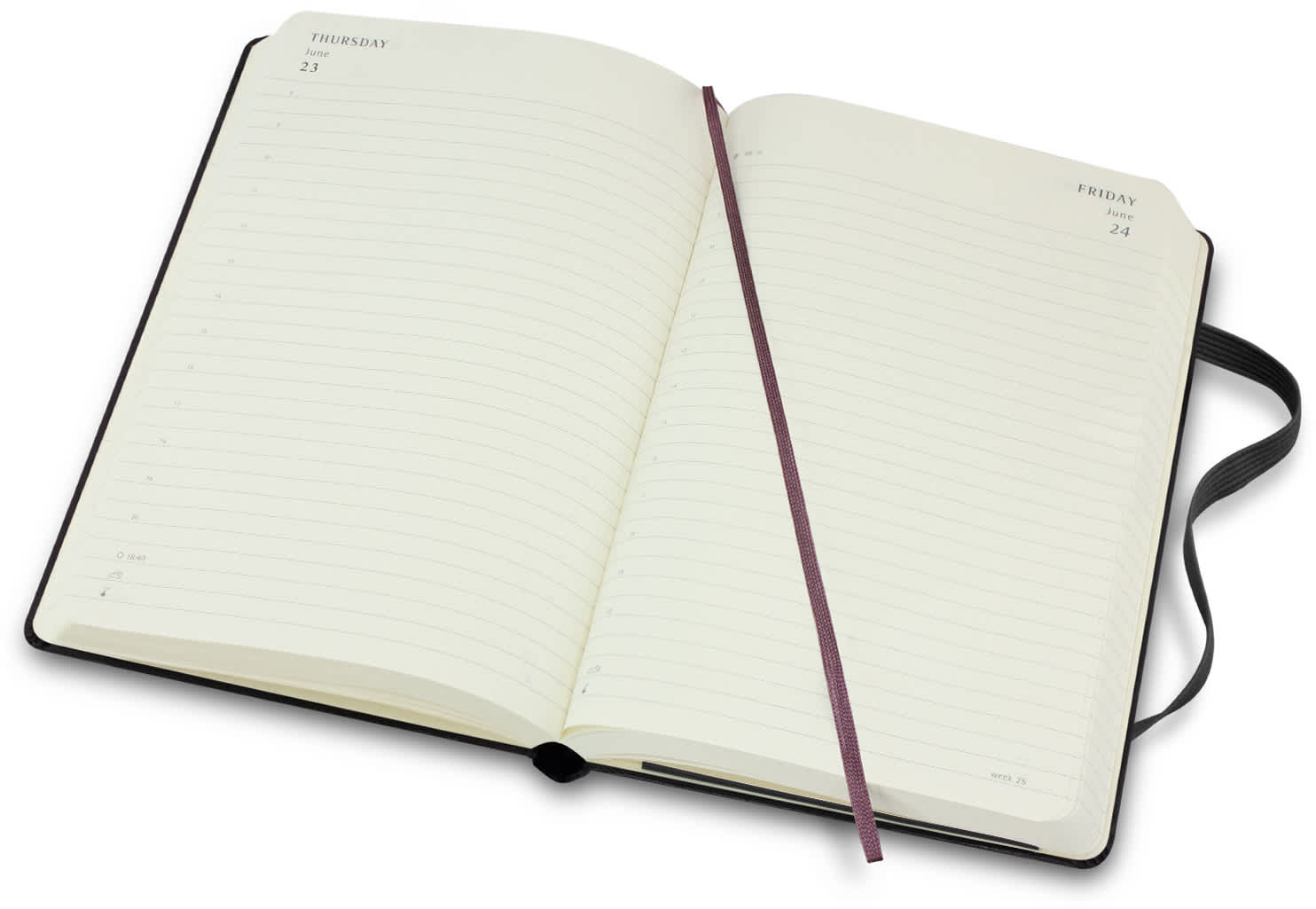 Moleskine 2023 Planner - Daily