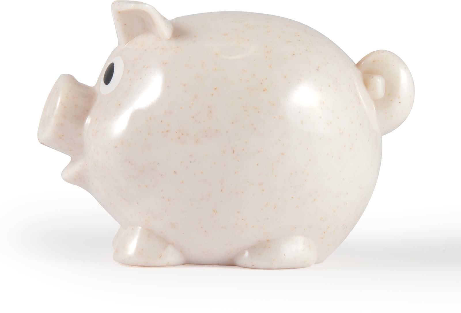 World's Smallest Pig Eco Coin Bank