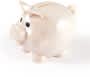 Wheat Fibre World's Smallest Pig Eco Coin Bank