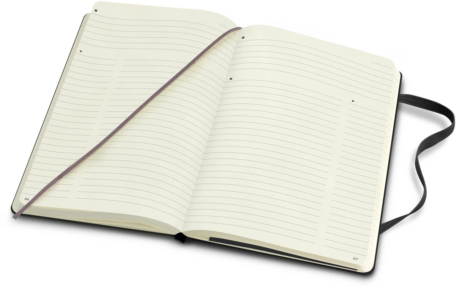 Moleskine Pro Hard Cover Notebook - Large