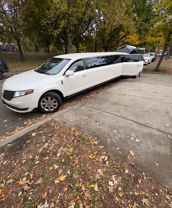 Stretch Limousine