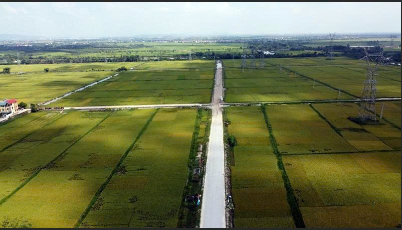 Đường tỉnh lộ 287