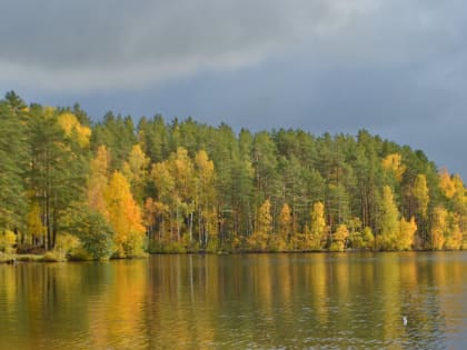Ставropolские депутаты сталкиваются с критикой за предложение ослабить закон о заповедниках