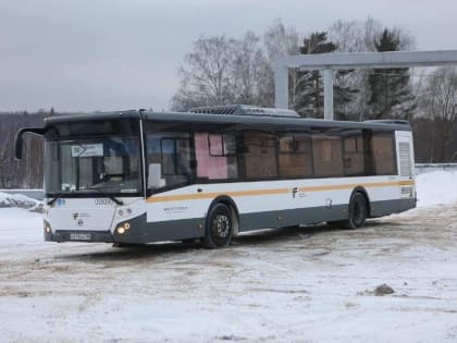Автобусы Чехова изменят расписание в Крещенскую ночь