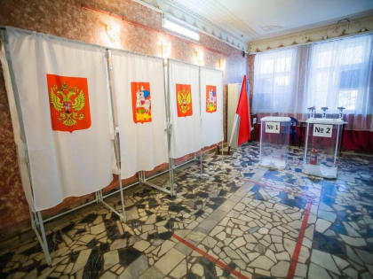 Выборы в Кашире завершились: подведены итоги голосования