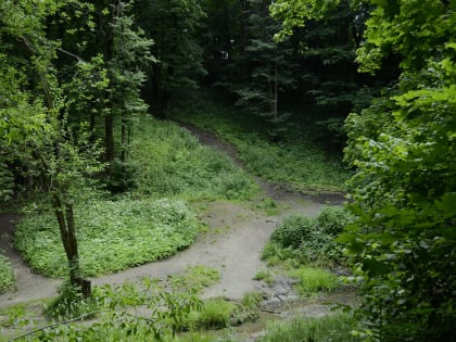 Участники секции спортивного ориентирования ДКиС поселка Воскресенское выступают на Псковском турнире