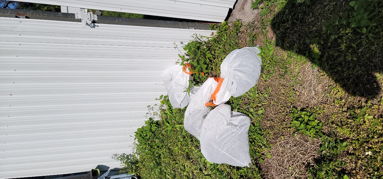 A fenced Southwest Florida yard ready for one-time cleanup