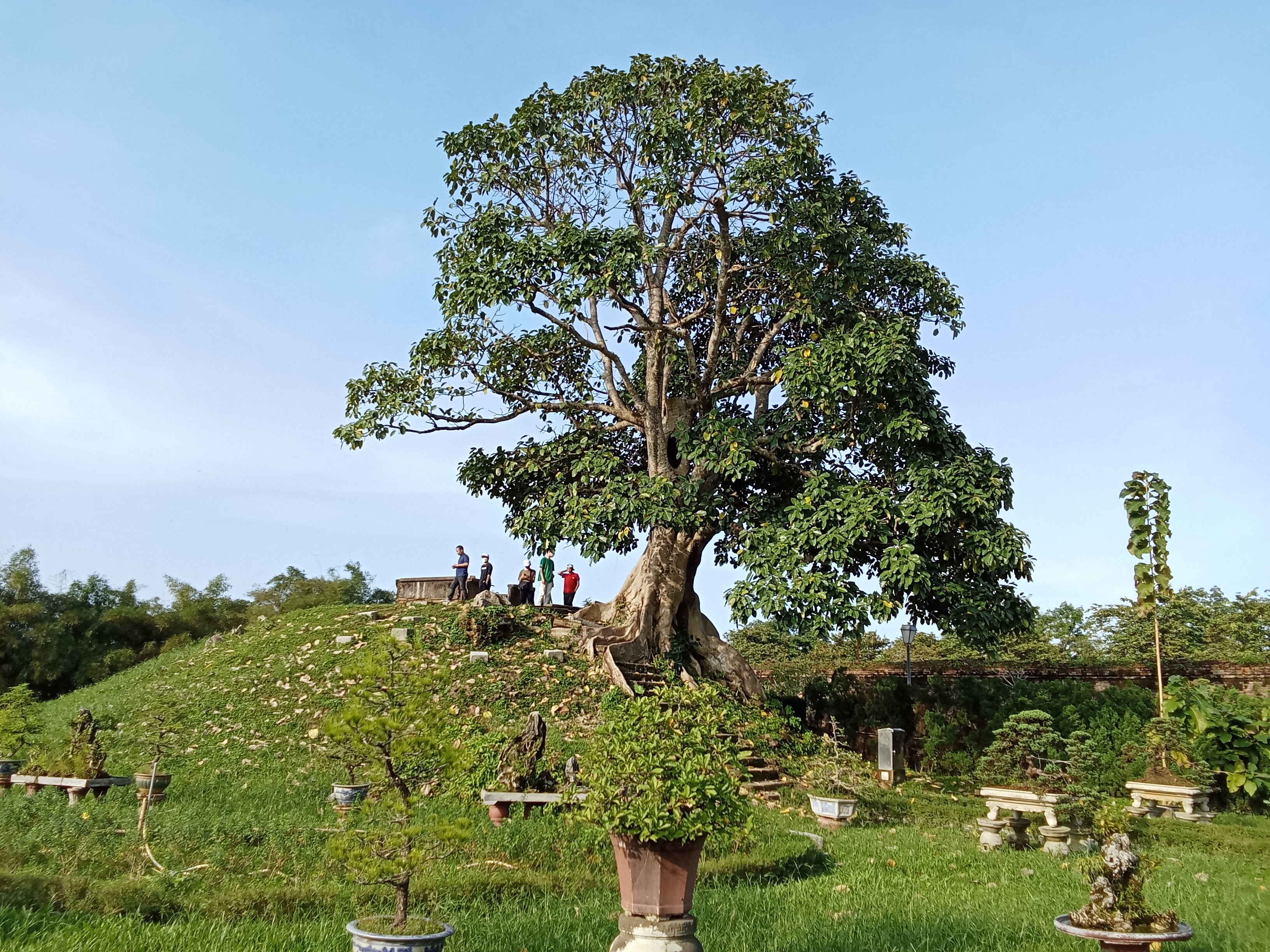 Lập trình Web Fullstack với Node.js & React