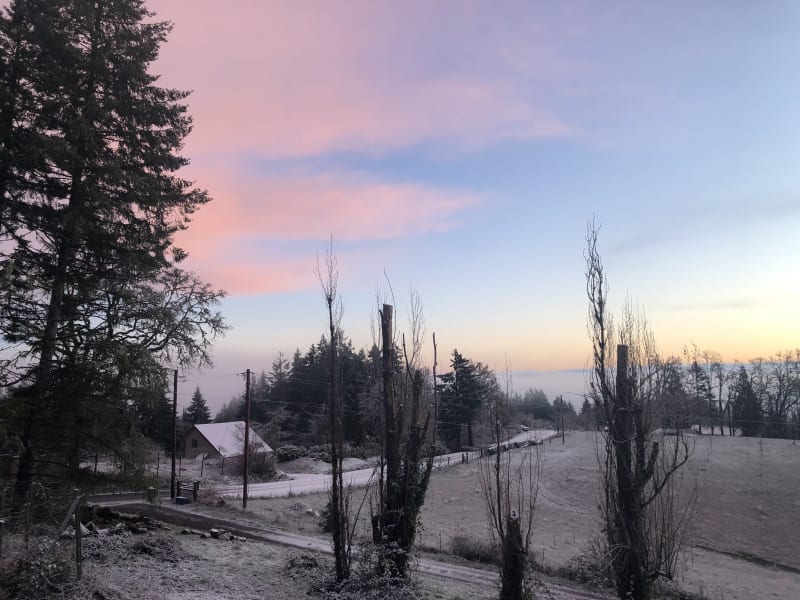 雪地清晨
