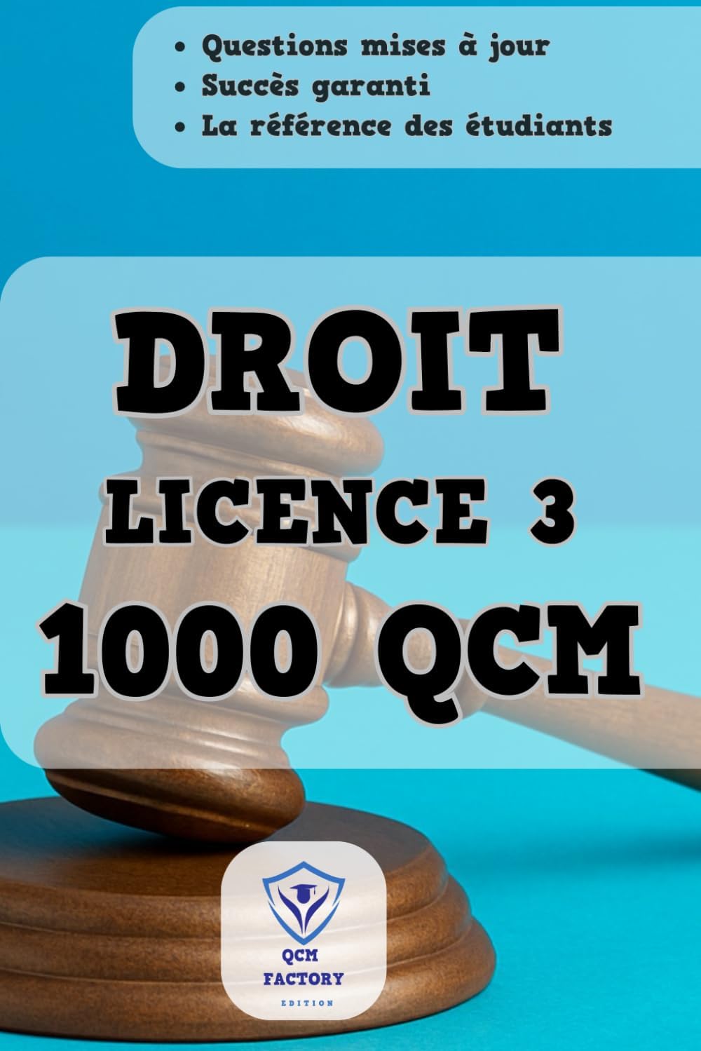 Vue 3 de Droit Parlementaire Cours Integral
