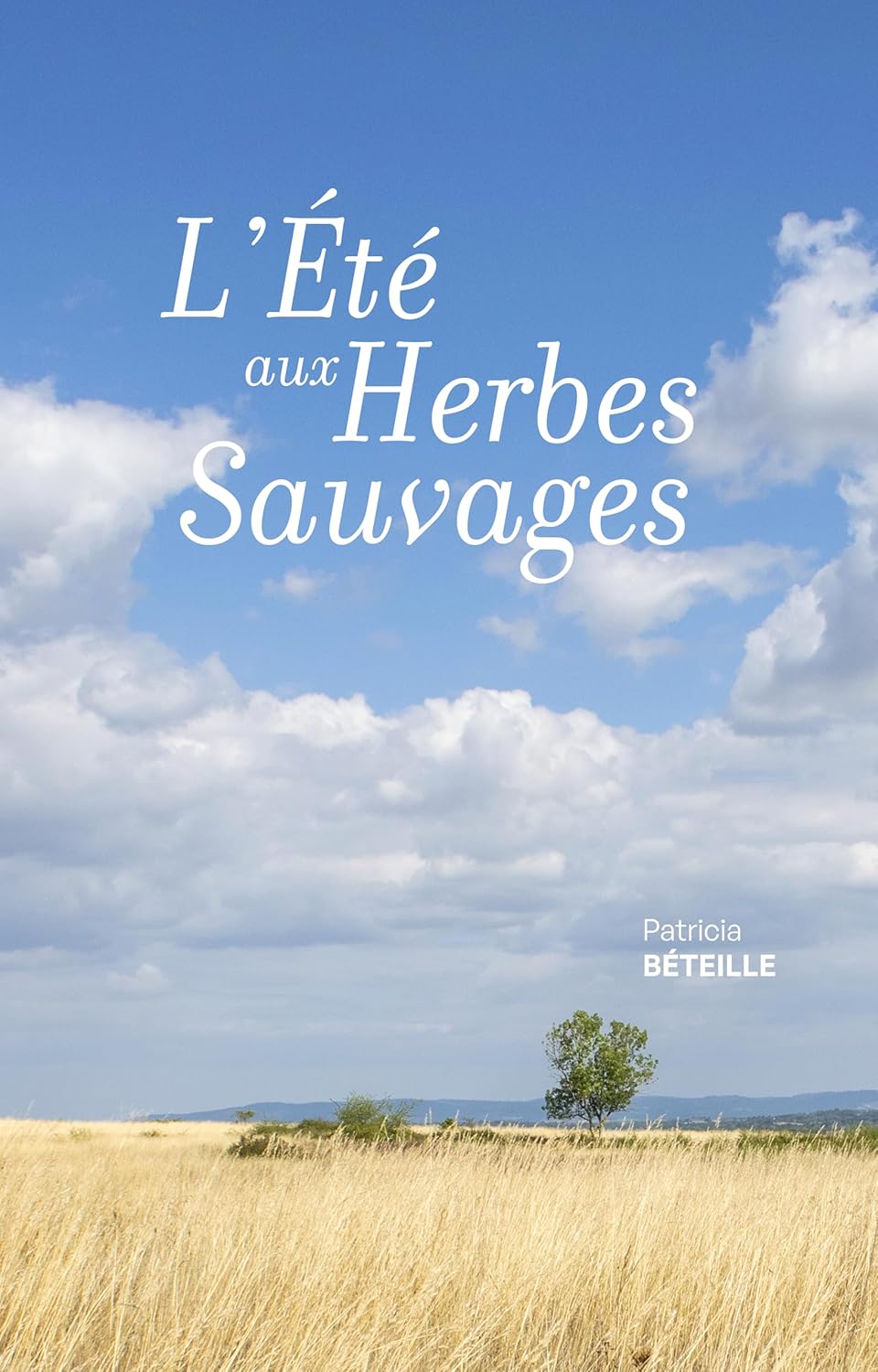 Vue 7 de Procedure Civile Ed Hypercours