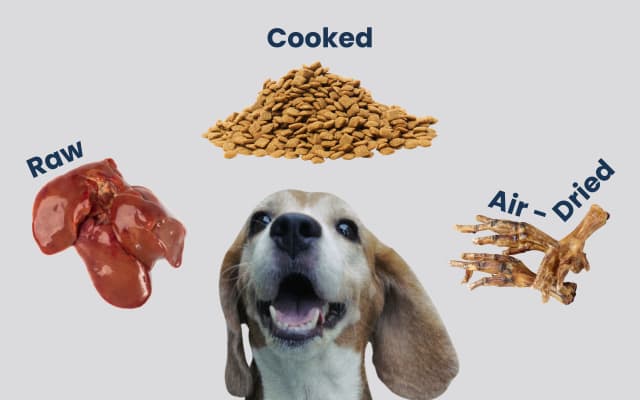 Raw vs Cooked vs Air-Dried Dog Treats: What’s the Difference?