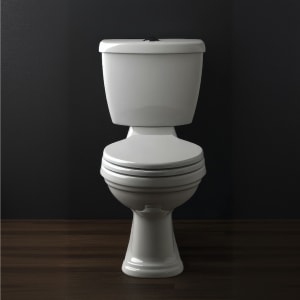 Watermark Toilet