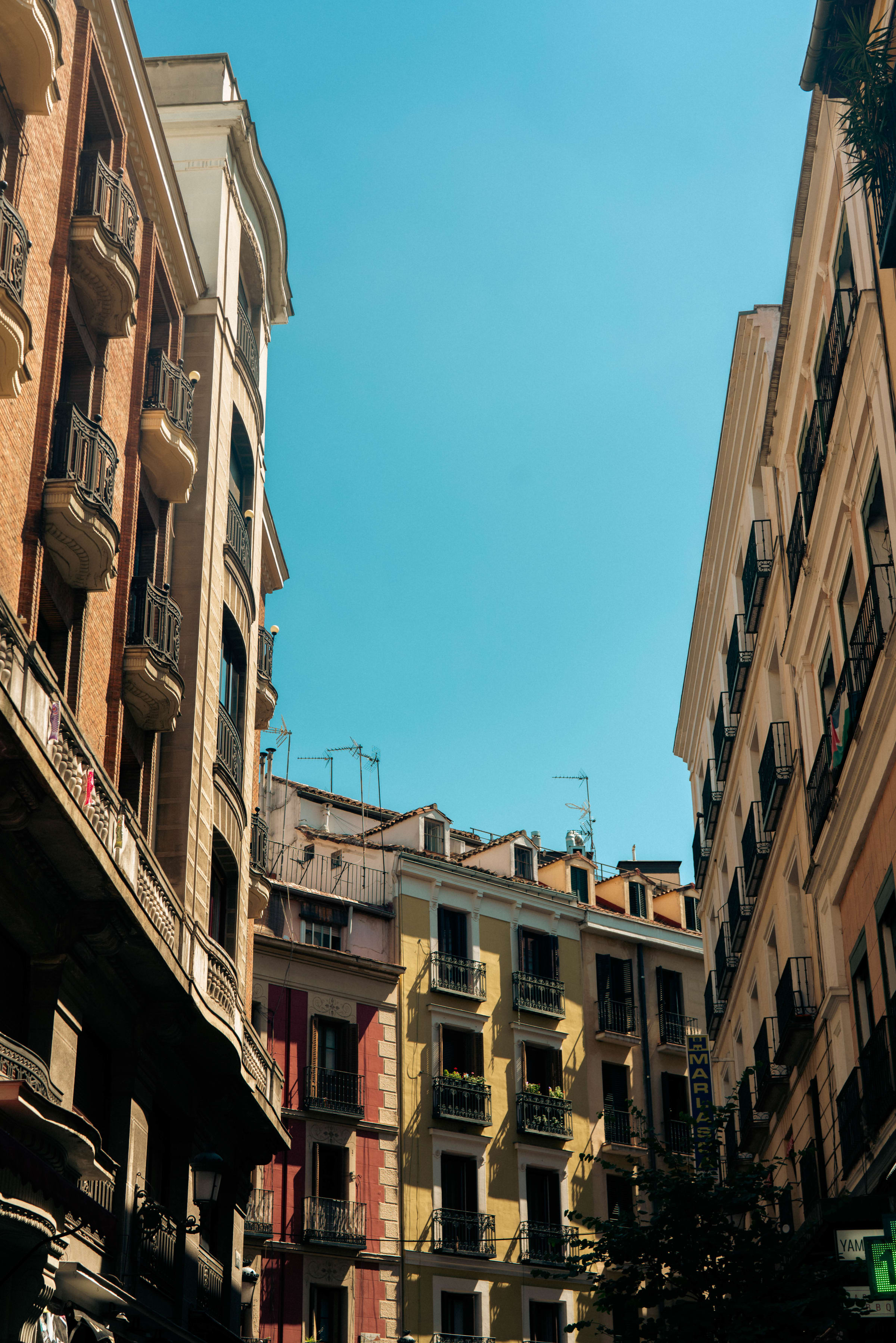 Madrid bajo el sol de verano