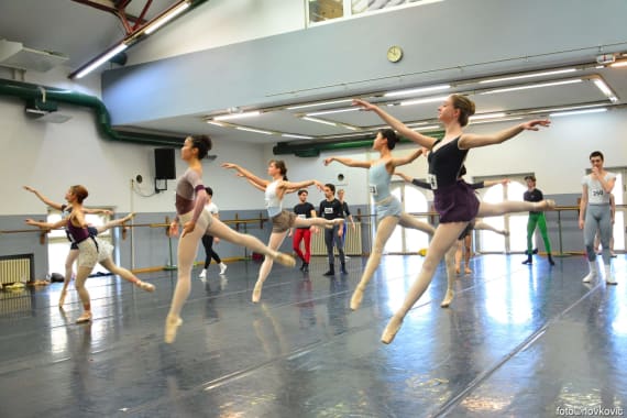 Candidates from around the world participated in the large ballet audition 25