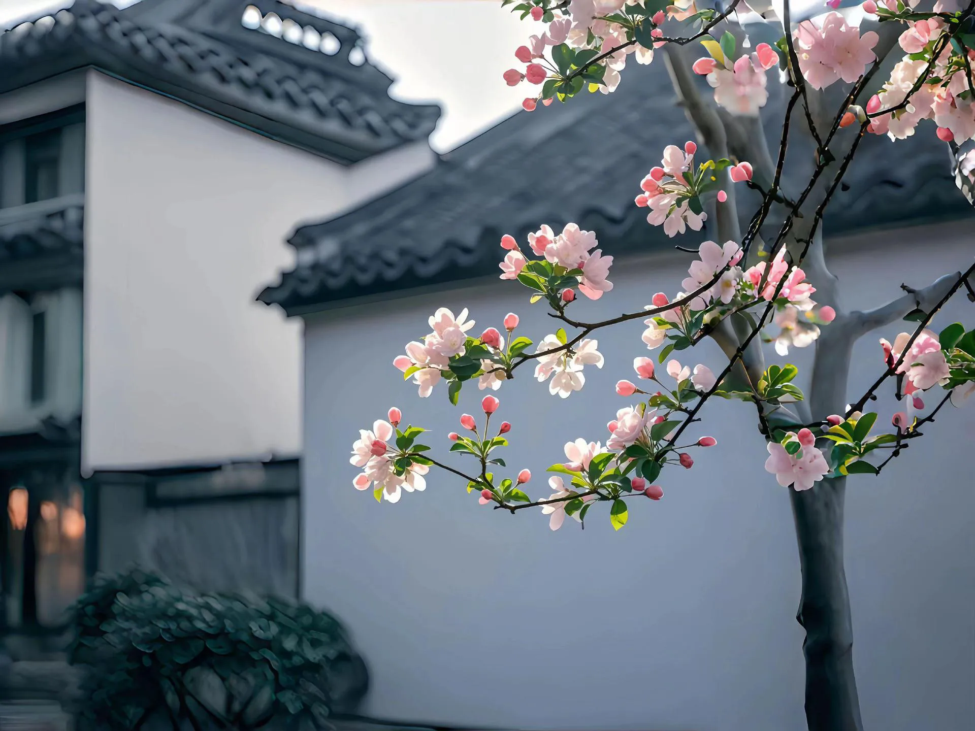 Desktop Wallpapers 4K Wallpaper - 10