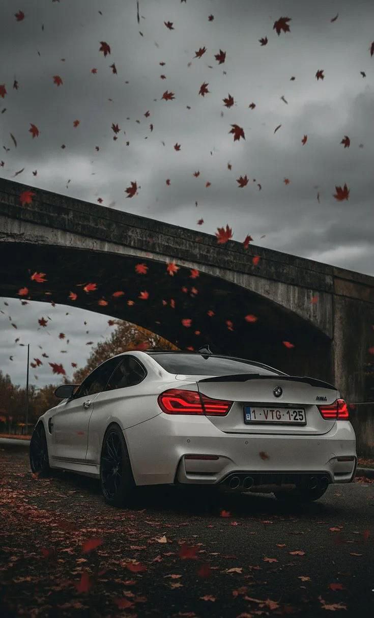 Cars 4K Wallpaper - 17 | Only_dias Ocean