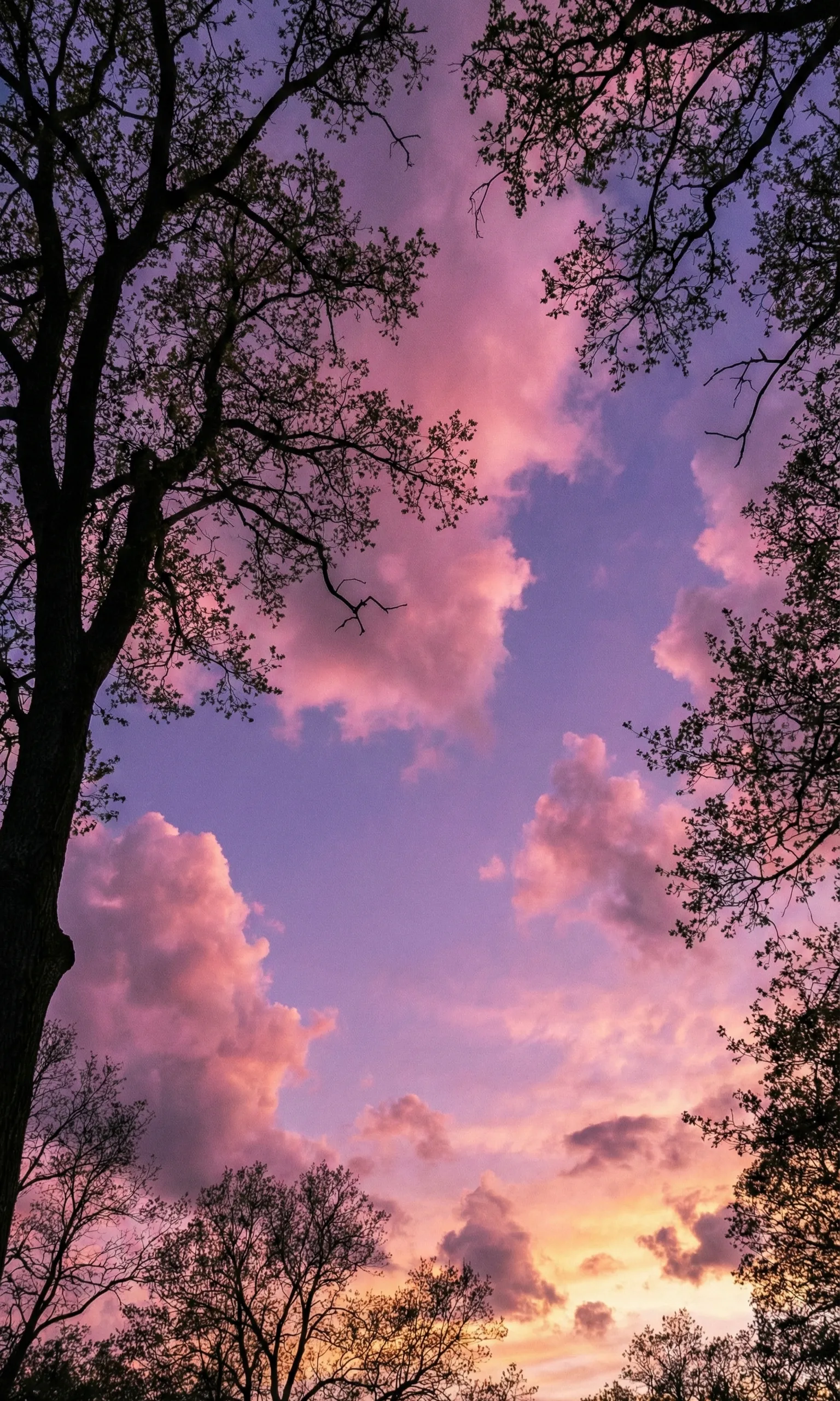 Nature 4K Wallpaper - 6 | Only_dias Ocean