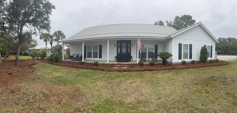 Pine Straw After