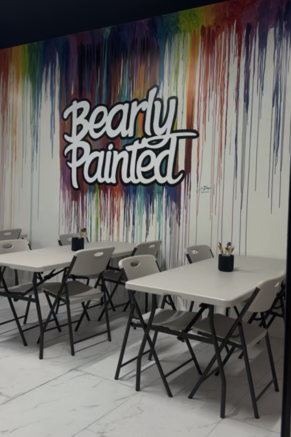 Painted bear photo 3