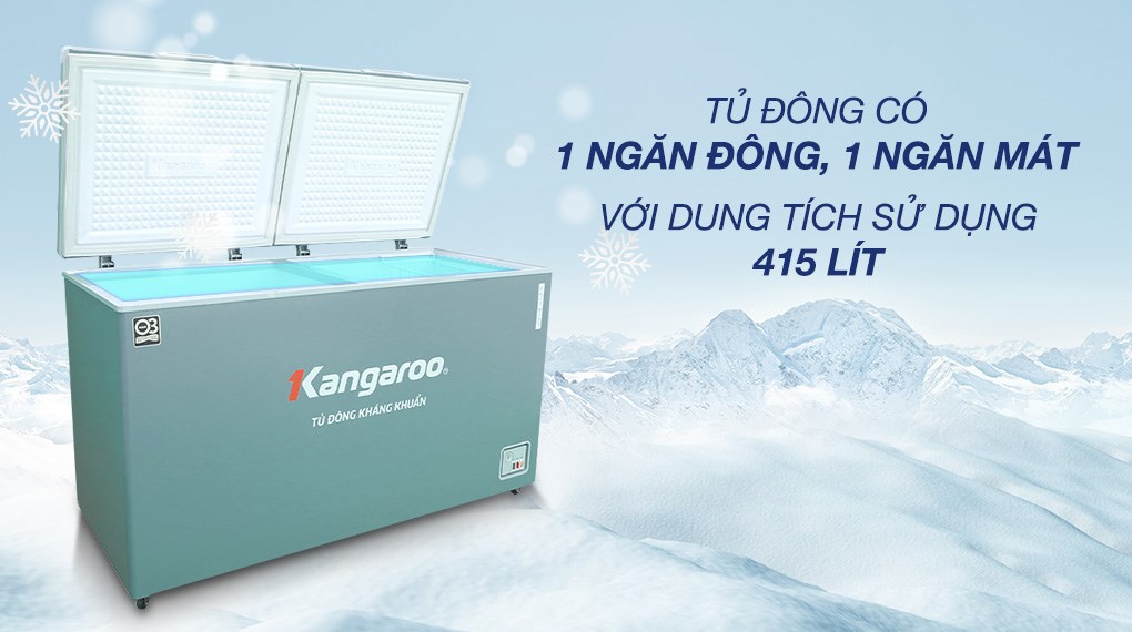 Tủ đông kháng khuẩn 415 lít KG415G2D