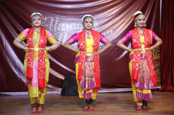 narayanImage