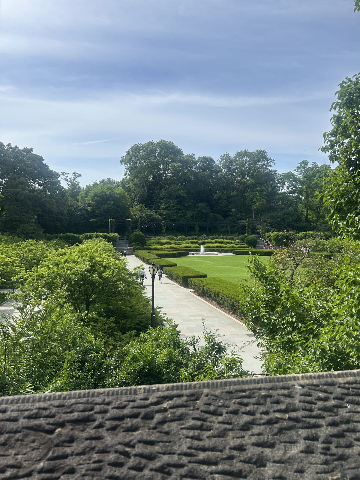 A garden on a bright and sunny day