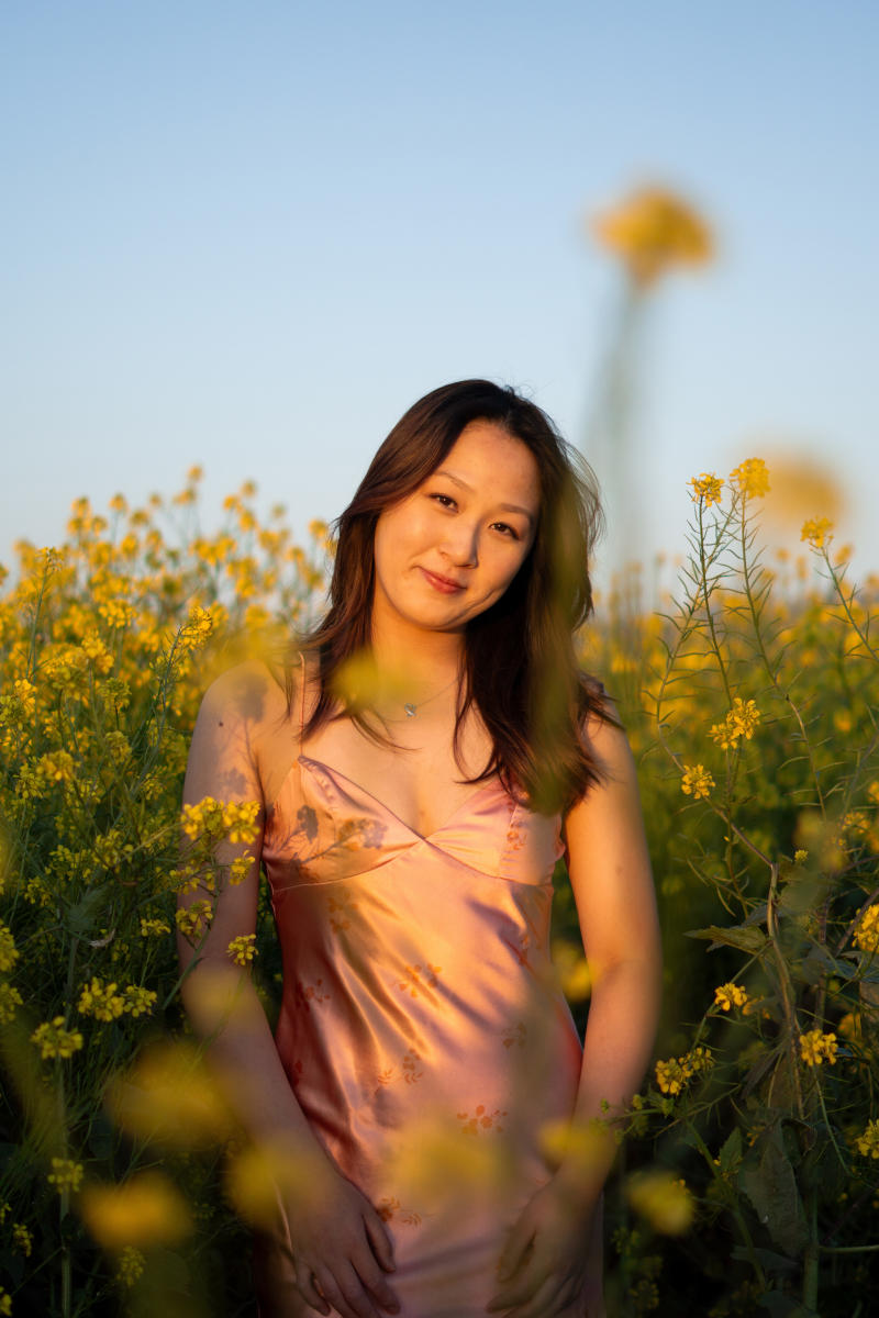 golden flowers q7jemb