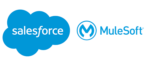 Customer 360 & MuleSoft Integration