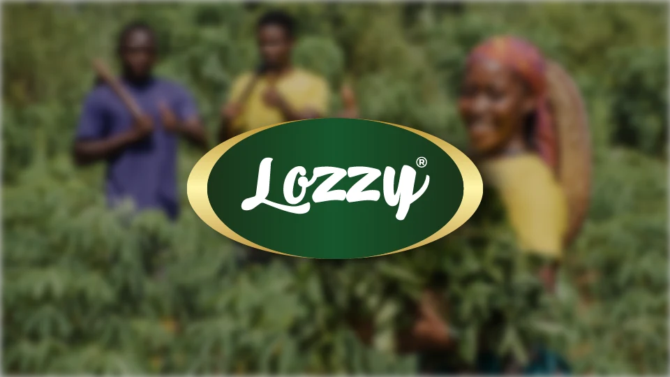 Lozzy Rebrand