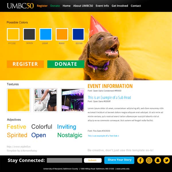 A picture of the Style Tile for UMBC50
