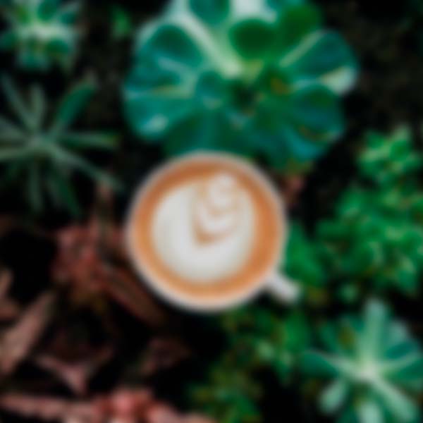 A picture of a cup of coffee placed on top of some plants
