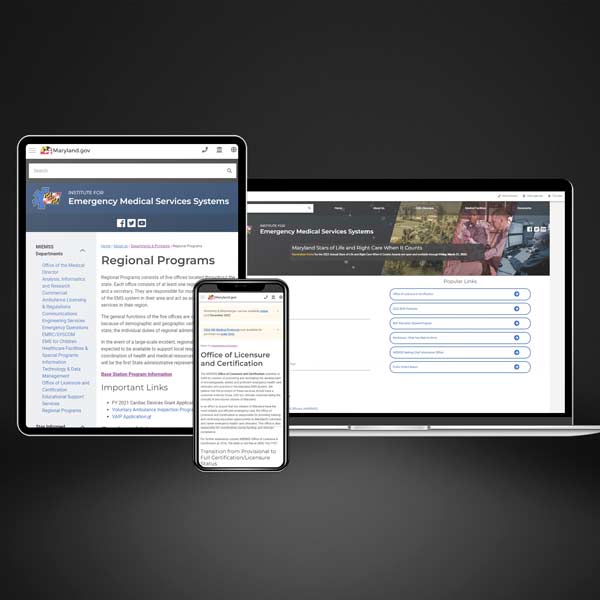 Three screens, a laptop, tablet, and smartphone, showing different prototype screens of the website