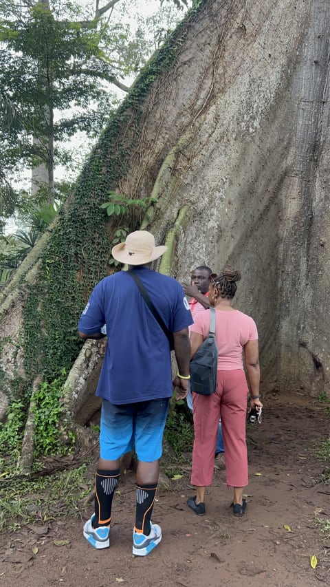 Tourism in Ghana 2025: 1.3 Million Arrivals and $4.3 Billion Revenue