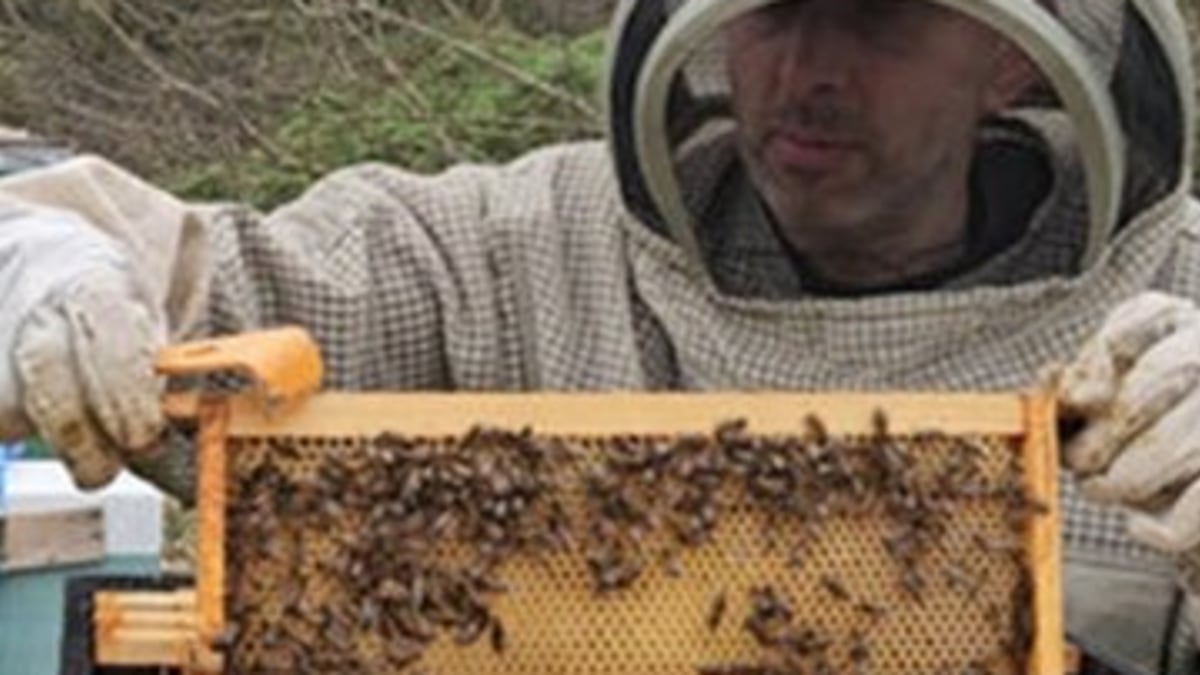 Addlestone Honey - Honey,Preserves