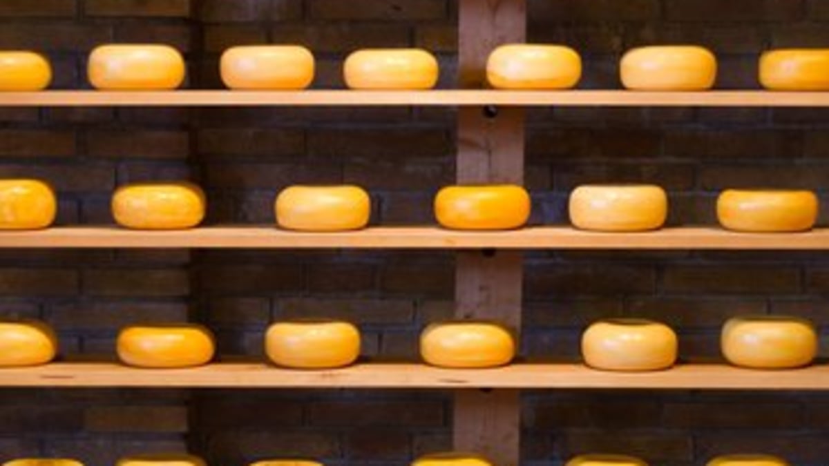 E.S. Burroughs & Hugo's Farm - Cheese,Dairy