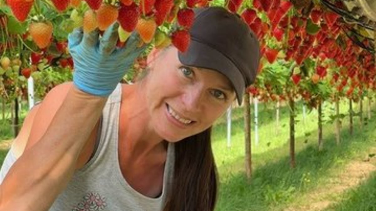 Fruitway Farm - Fruit,Preserves