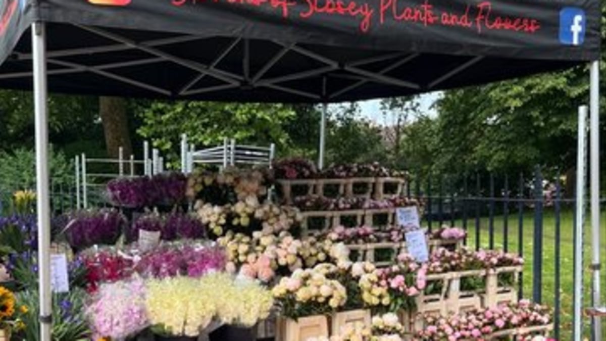Stevens of Sibsey - Plants,Flowers