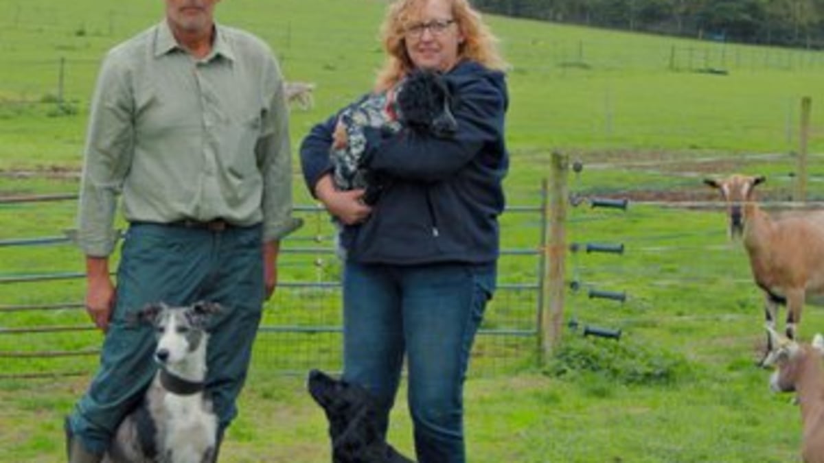 Wildcroft Dairy - Dairy,Cheese