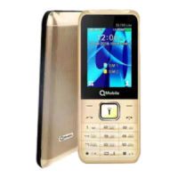 Qmobile SL100