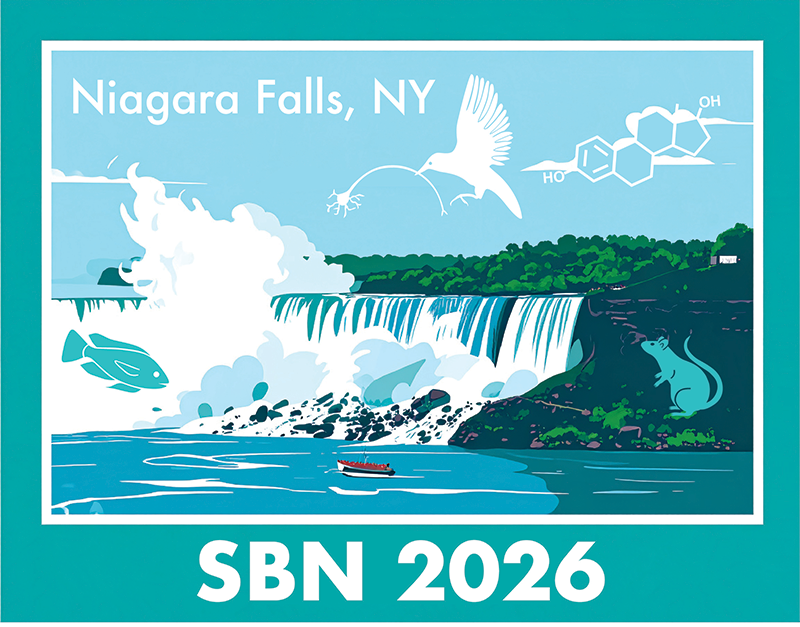 SBN Annual Meeting