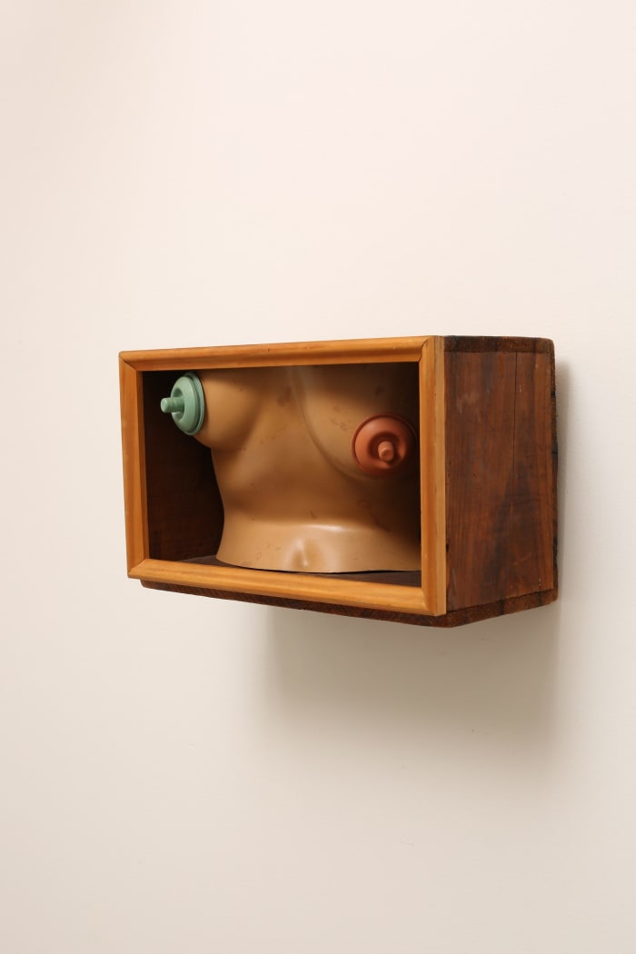 Free the nipple