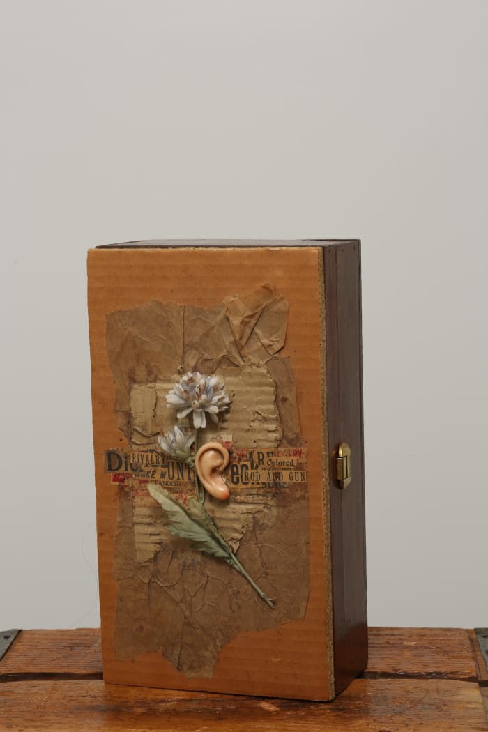 Untitled (Box w/ Flower and Ear)