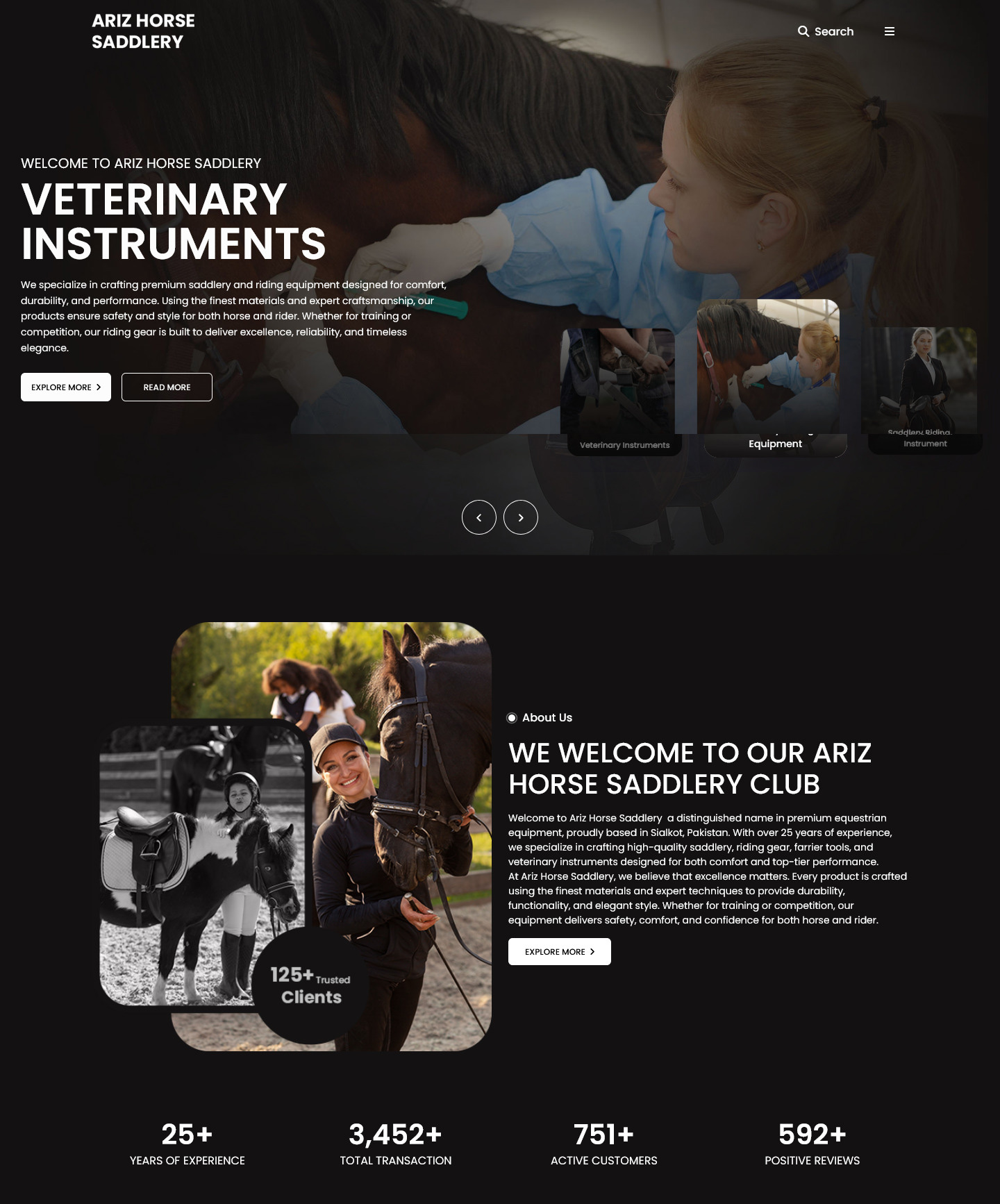 Dynamic Websites screenshot 2