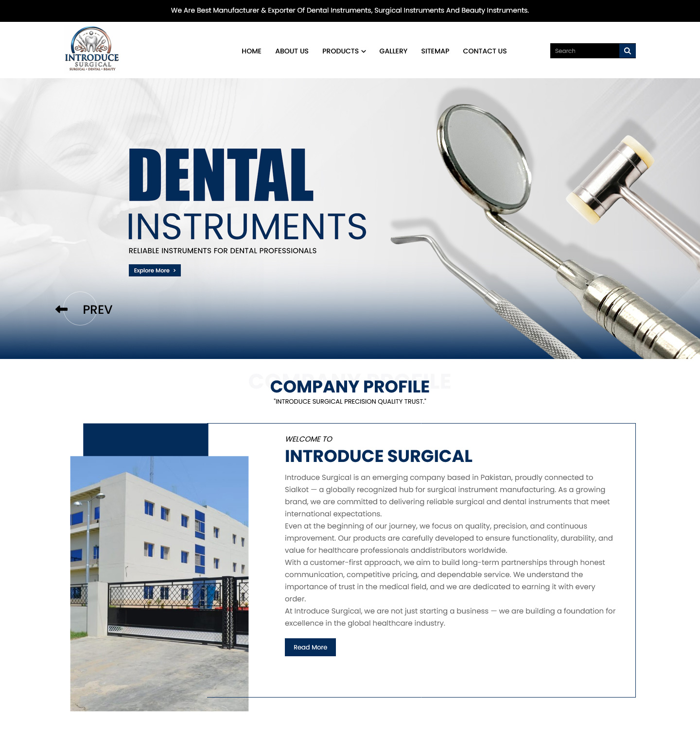 Dynamic Websites screenshot 4
