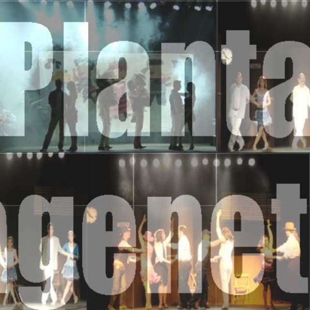 Plantagenet Escuela De Baile dance school
